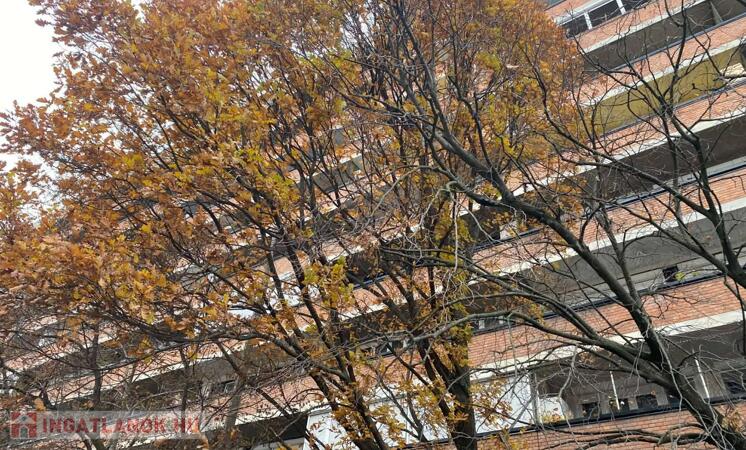 Szolnokon a Vitéz Szathmáry József úton  2 szobás lakás eladó!