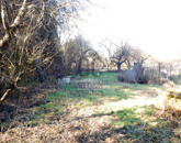 Eladó családi ház Zalalövő 15 000 000 Ft