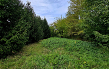 Eladó telek/földterület