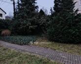 Eladó lakás Solymár 109 000 000 Ft