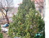 Kiadó lakás Budapest VI. ker 190 000 Ft