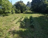 Eladó telek/földterület Verőce 68 900 000 Ft