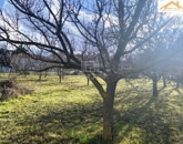 Eladó telek/földterület Sárszentmihály 13 000 000 Ft