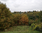 Eladó telek/földterület Zalaegerszeg 8 000 000 Ft