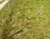 Balatonkenesén panorámás építési telek eladó