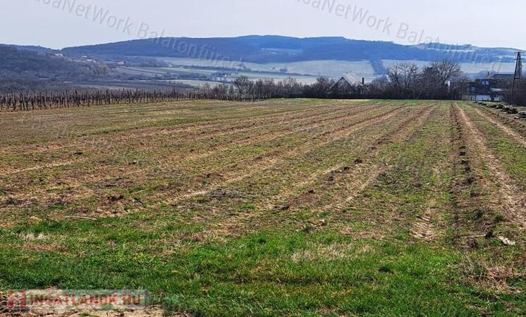 PANORÁMÁS SZŐLŐ A NIVEGY-VÖLGY SZÍVÉBEN SZENTJAKABFÁN