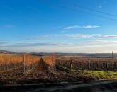 Eladó PRÉSHÁZ a gyönyörű Nivegy-völgyben, SZENTANTALFÁN