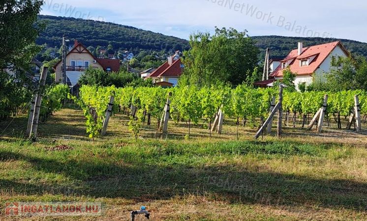 Belterület mellett-eladó ZÁRTKERT CSOPAKON