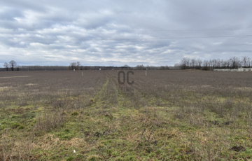 Eladó telek/földterület