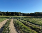 Eladó telek/földterület Tököl 5 800 000 Ft