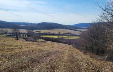 Eladó telek/földterület