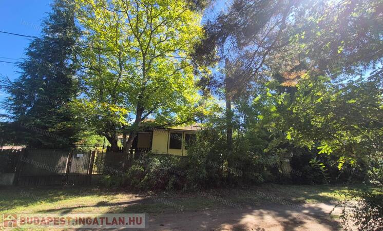 Oroszlányon eladó zártkert dupla telekkel                                 