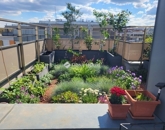 Eladó lakás Budapest XIII. ker 235 000 000 Ft