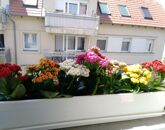 Eladó lakás Budapest XIV. ker 82 000 000 Ft