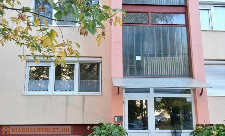 Belvárosban 2 szobás lakás kiadó                                 