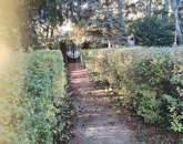 Eladó lakás Budapest II. ker 66 600 000 Ft