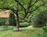 Eladó üdülő/nyaraló Solymár 69 900 000 Ft