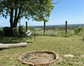 Eladó családi ház Szekszárd 29 500 000 Ft