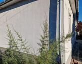 Jászberényben, 63 nm-es, 2 szobás családi ház eladó