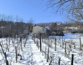 Eladó telek/földterület Ságvár 7 500 000 Ft