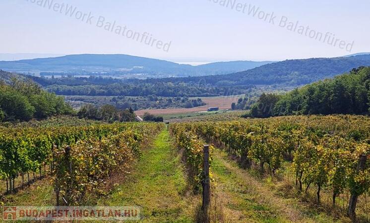 Építhető, kedvező lehetőség-eladó ZÁRTKERT MINDSZENTKÁLLÁN                                 