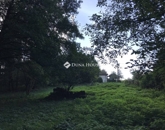 Eladó telek/földterület Bagod 12 490 000 Ft