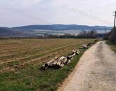 PANORÁMÁS SZŐLŐ A NIVEGY-VÖLGY SZÍVÉBEN SZENTJAKABFÁN