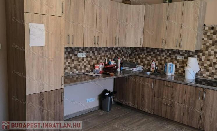 Tiszaföldváron csendes környéken családi ház eladó                                 