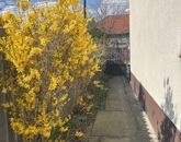 Eladó családi ház Budapest XX. ker 95 200 000 Ft