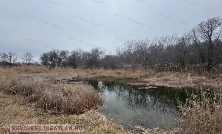 Izolált zöld környezetben nagy terület                                 