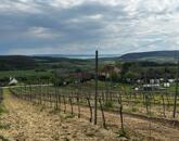 Eladó ÖRÖK PANORÁMÁS zártkert Óbudaváron! 3989nm!