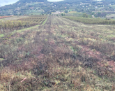 Eladó telek/földterület Zánka 8 600 000 Ft