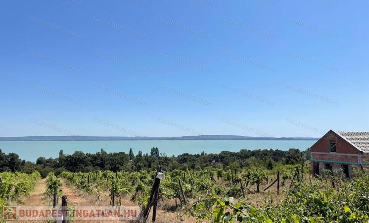 Eladó Balatatonszepezden egy örökpanorámás külterületi telek szőlővel                                 