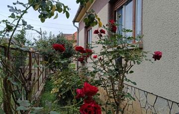 Eladó családi ház