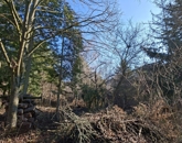 Eladó telek/földterület Budakeszi 29 900 000 Ft