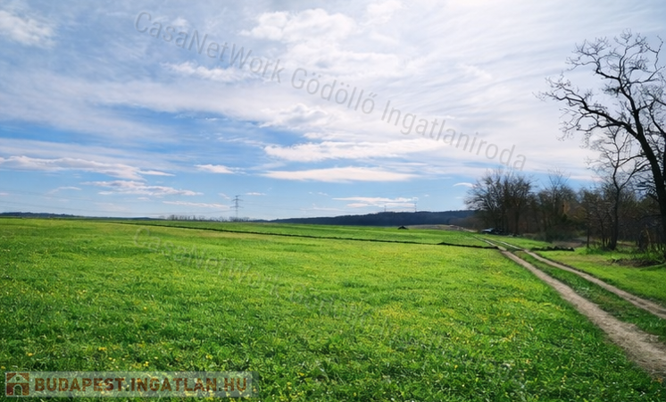 Ipari fejlesztésre alkalmas telek                                 