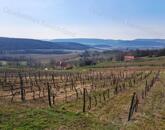 TÁJPANORÁMÁS, ÉPÍTHETŐ ZÁRTKERT BALATONCSICSÓN