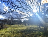 Eladó telek/földterület Sárszentmihály 13 000 000 Ft