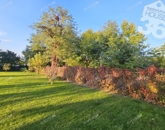 Eladó családi ház Kiskunfélegyháza 35 000 000 Ft