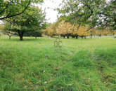 Eladó telek/földterület Zalaegerszeg 10 000 000 Ft