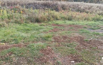 Eladó telek/földterület