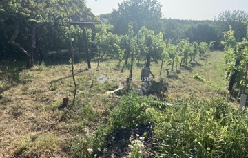 Eladó telek/földterület