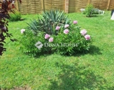 Eladó üdülő/nyaraló Mohács 16 900 000 Ft