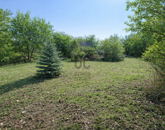 Eladó telek/földterület Sárszentmihály 30 000 000 Ft