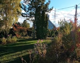 Eladó telek/földterület Pomáz 55 000 000 Ft