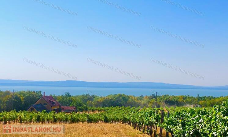 Beépíthető panorámás szőlőterület