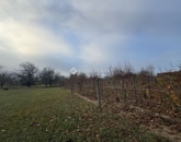 Eladó családi ház Pécs 12 900 000 Ft