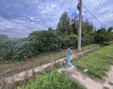 Eladó családi ház Ramocsaháza 5 900 000 Ft