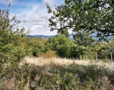 Eladó telek/földterület Dunabogdány 15 000 000 Ft