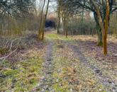 Tóparti halász telek